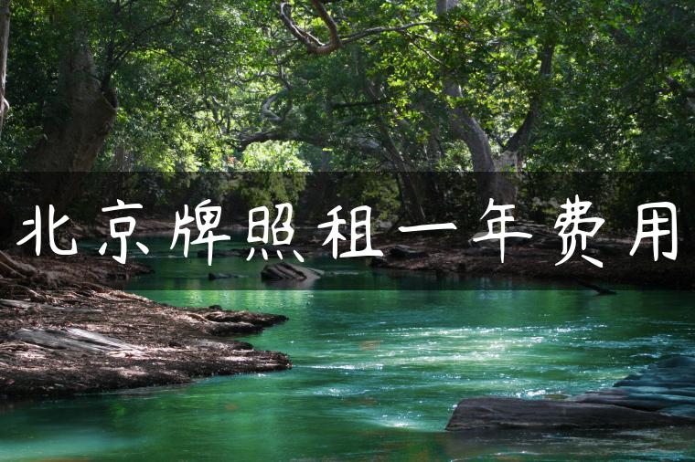 北京牌照租一年费用