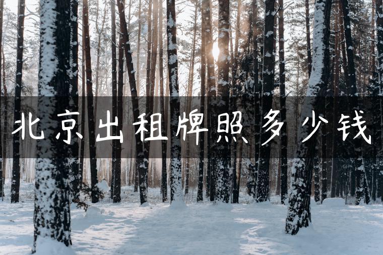 北京出租牌照多少钱