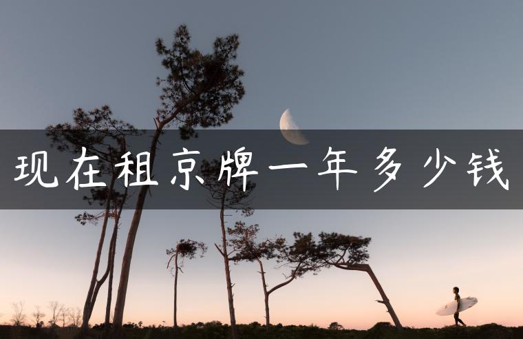 现在租京牌一年多少钱