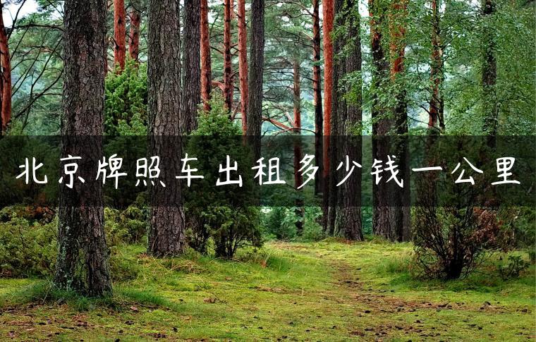 北京牌照车出租多少钱一公里