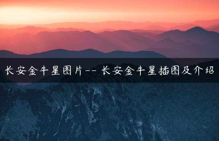 长安金牛星图片– 长安金牛星插图及介绍