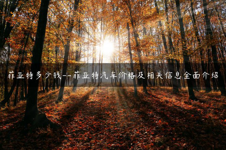 菲亚特多少钱–菲亚特汽车价格及相关信息全面介绍