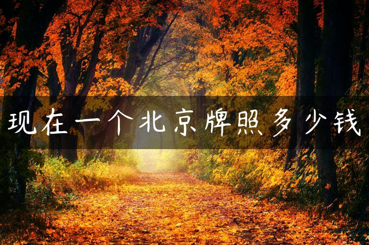 现在一个北京牌照多少钱