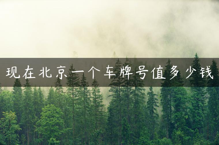 现在北京一个车牌号值多少钱