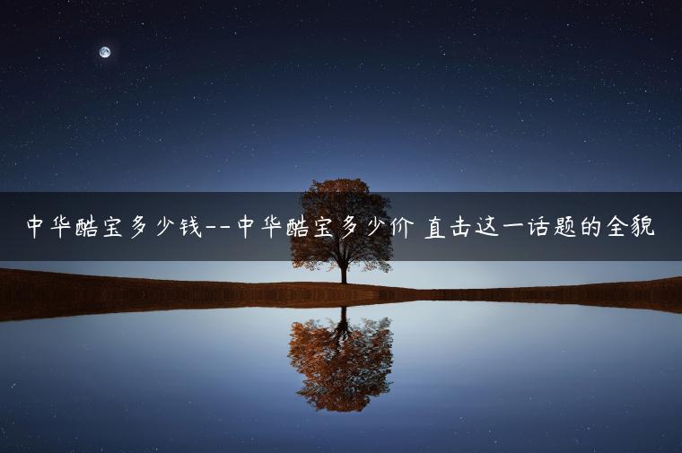 中华酷宝多少钱–中华酷宝多少价 直击这一话题的全貌-金牌车友