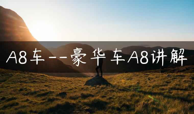 A8车–豪华车A8讲解