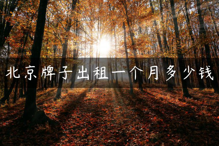 北京牌子出租一个月多少钱