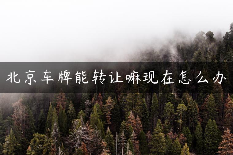 北京车牌能转让嘛现在怎么办