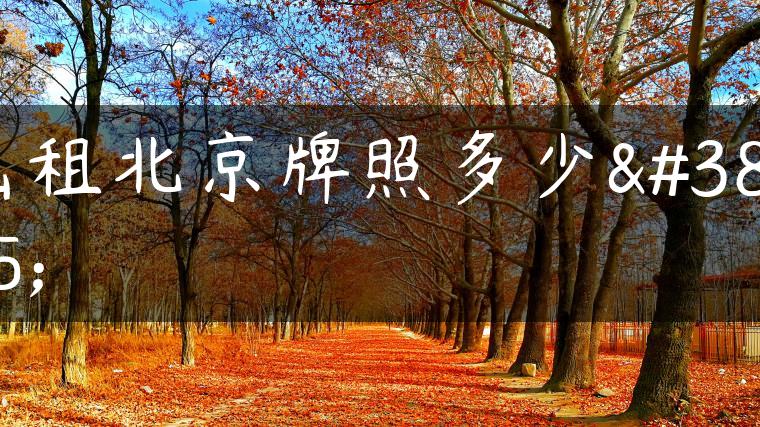出租北京牌照多少钱