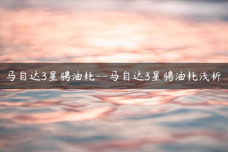 马自达3星骋油耗–马自达3星骋油耗浅析