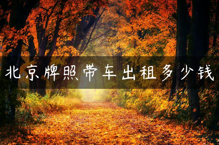 北京牌照带车出租多少钱