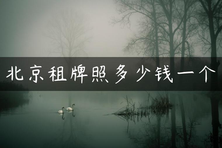 北京租牌照多少钱一个-金牌车友