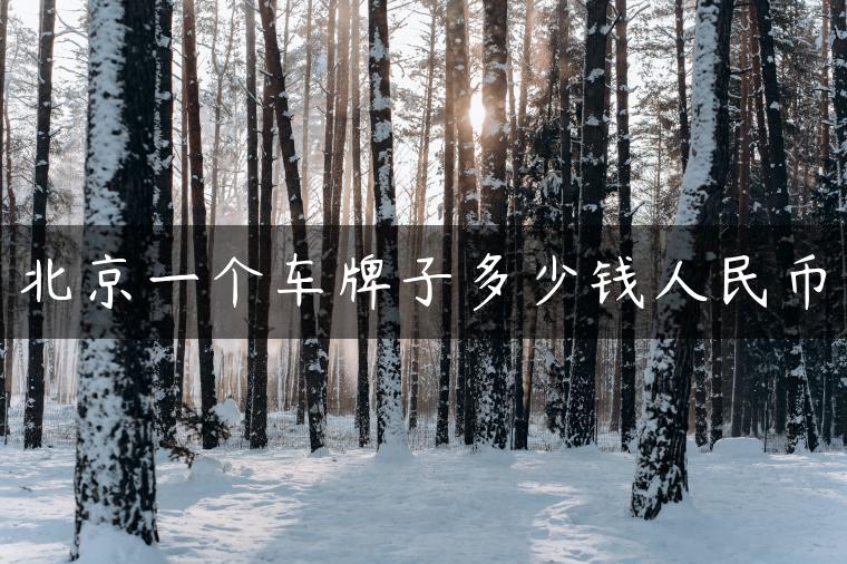 北京一个车牌子多少钱人民币