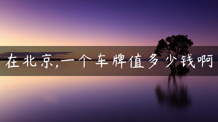 在北京,一个车牌值多少钱啊