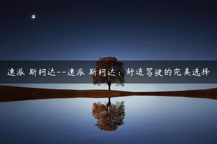 速派 斯柯达–速派 斯柯达：舒适驾驶的完美选择