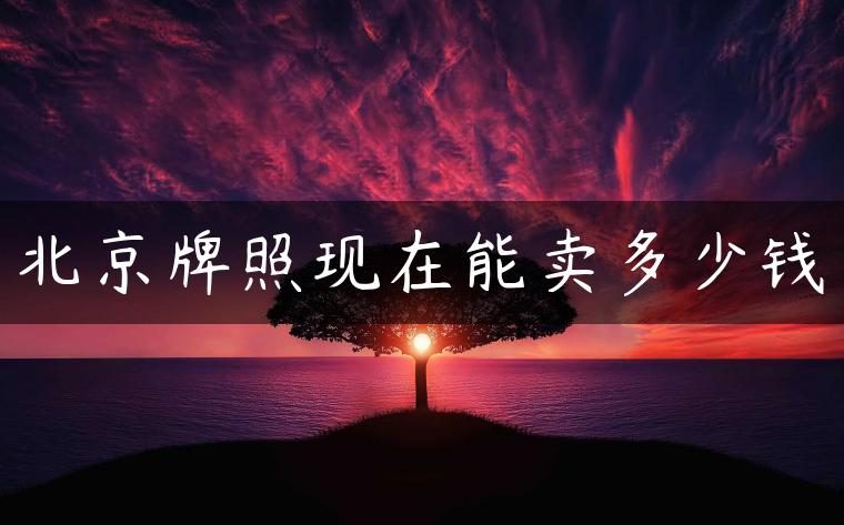 北京牌照现在能卖多少钱