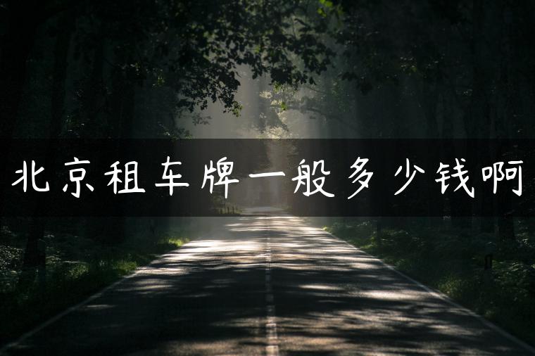 北京租车牌一般多少钱啊
