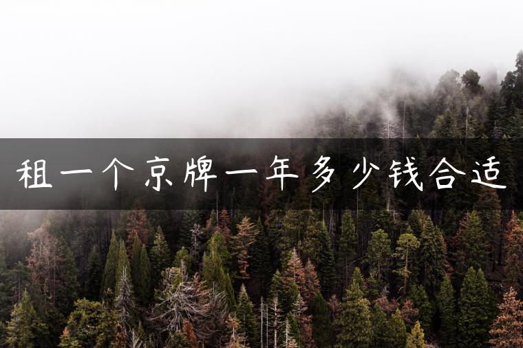 租一个京牌一年多少钱合适