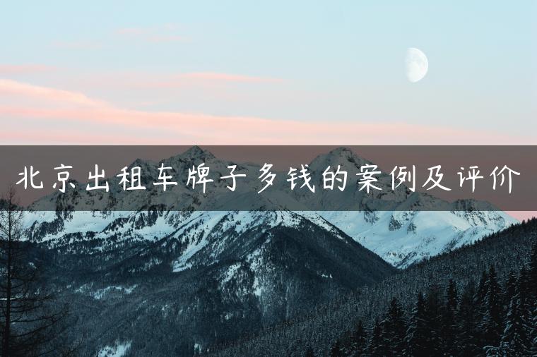北京出租车牌子多钱的案例及评价