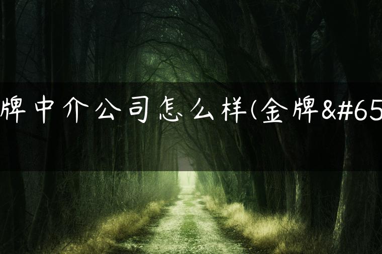 京牌中介公司怎么样(金牌）