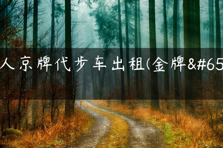 个人京牌代步车出租(金牌）