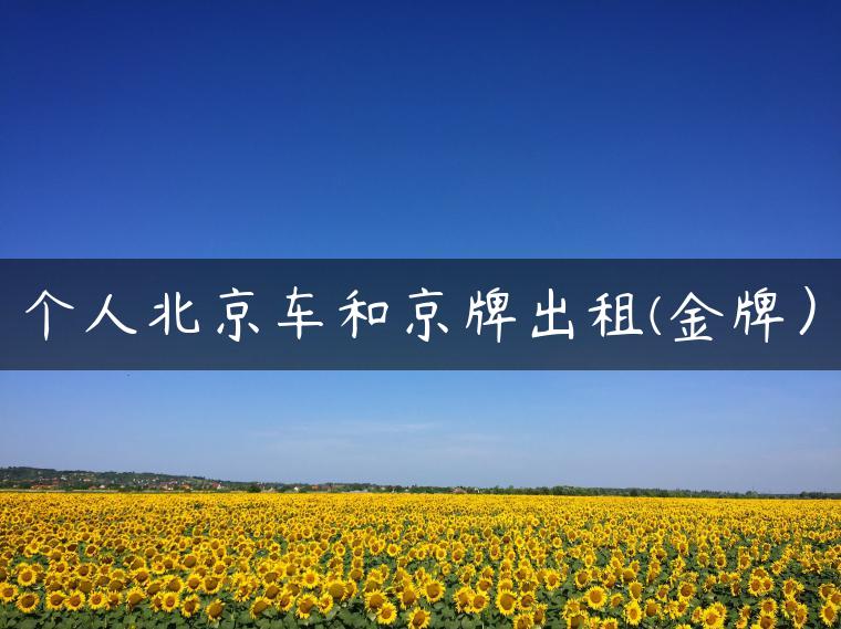 个人北京车和京牌出租(金牌）-金牌车友