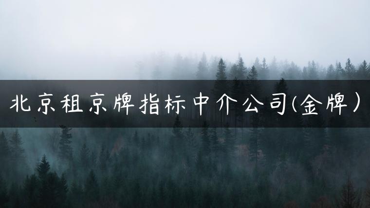 北京租京牌指标中介公司(金牌）