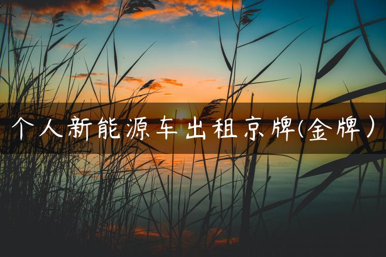 个人新能源车出租京牌(金牌）