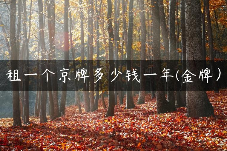 租一个京牌多少钱一年(金牌）-金牌车友