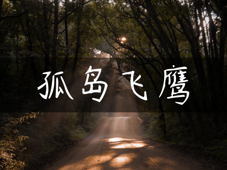 孤岛飞鹰