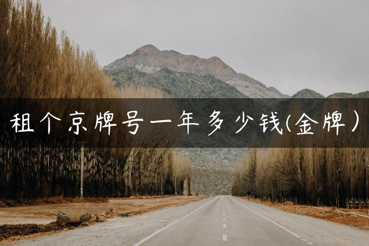 租个京牌号一年多少钱(金牌）
