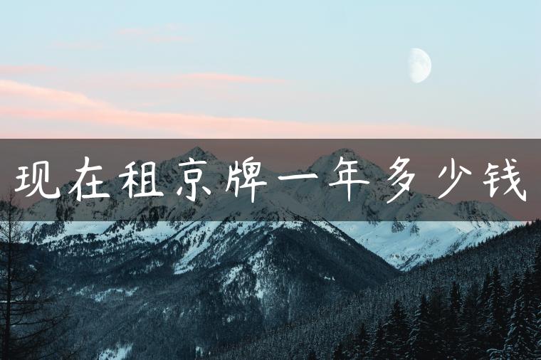 现在租京牌一年多少钱