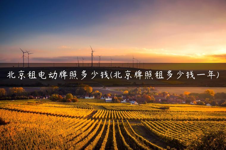 北京租电动牌照多少钱(北京牌照租多少钱一年)