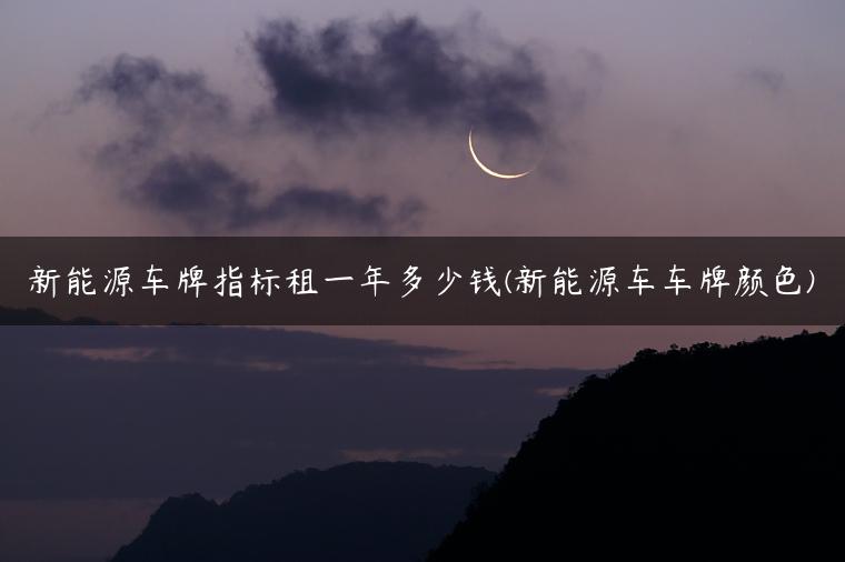 新能源车牌指标租一年多少钱(新能源车车牌颜色)