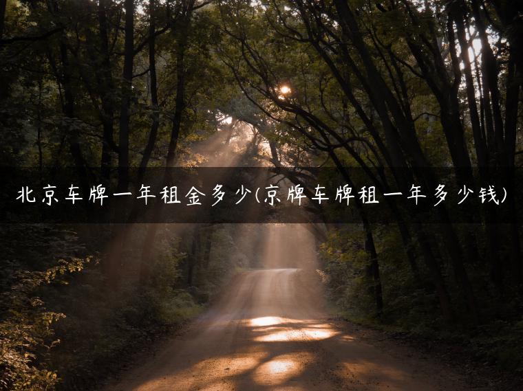 北京车牌一年租金多少(京牌车牌租一年多少钱)