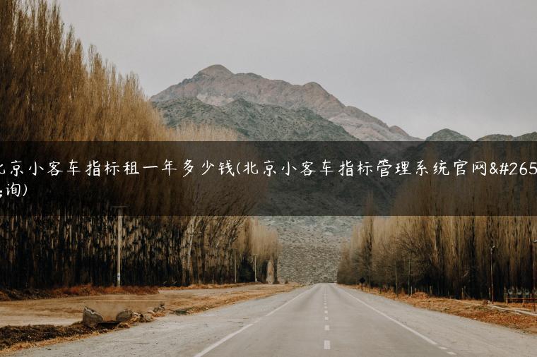 北京小客车指标租一年多少钱(北京小客车指标管理系统官网查询)-金牌车友