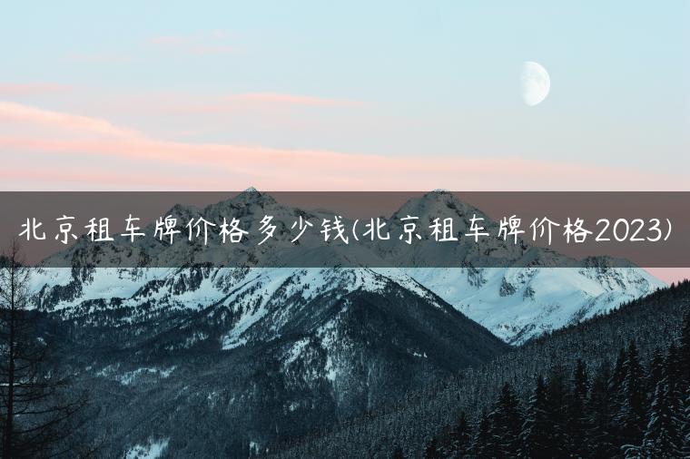 北京租车牌价格多少钱(北京租车牌价格2023)