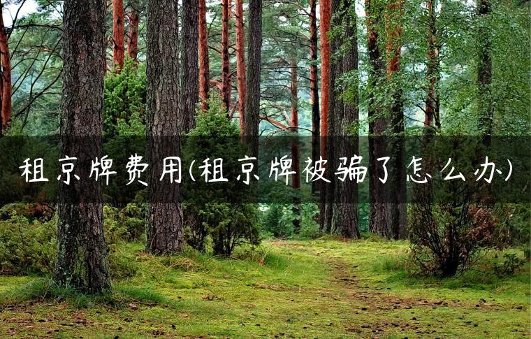 租京牌费用(租京牌被骗了怎么办)