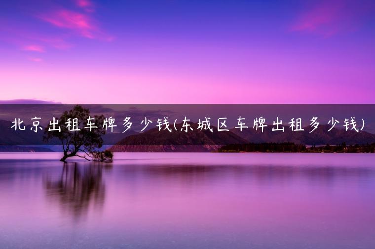 北京出租车牌多少钱(东城区车牌出租多少钱)