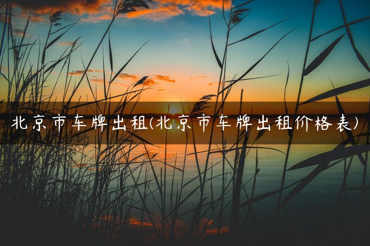 北京市车牌出租(北京市车牌出租价格表)-金牌车友