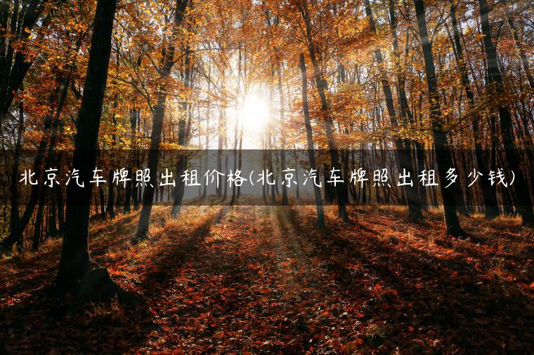 北京汽车牌照出租价格(北京汽车牌照出租多少钱)