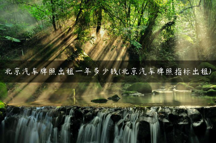 北京汽车牌照出租一年多少钱(北京汽车牌照指标出租)