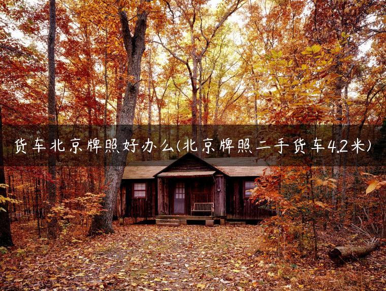 货车北京牌照好办么(北京牌照二手货车4.2米)