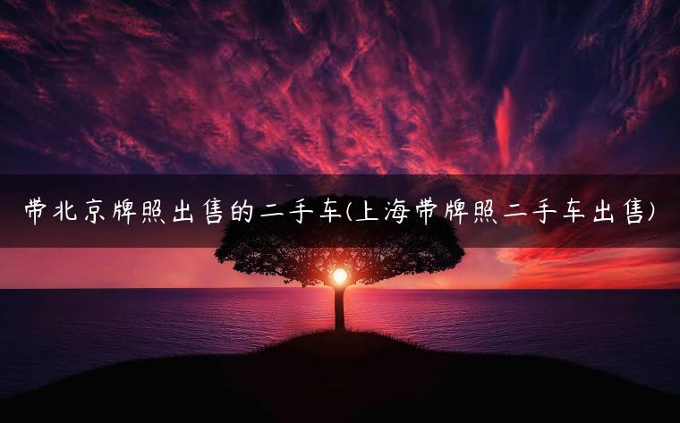 带北京牌照出售的二手车(上海带牌照二手车出售)