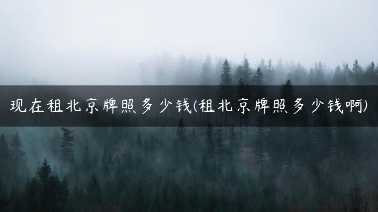 现在租北京牌照多少钱(租北京牌照多少钱啊)