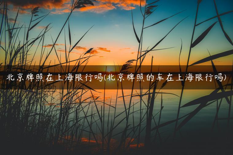 北京牌照在上海限行吗(北京牌照的车在上海限行吗)
