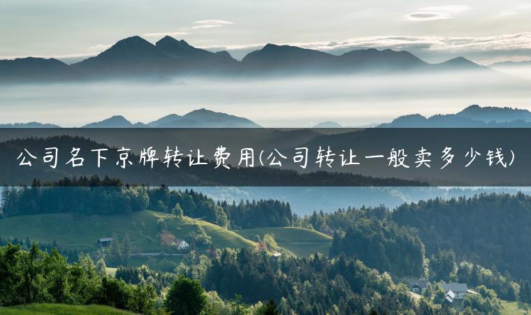 公司名下京牌转让费用(公司转让一般卖多少钱)