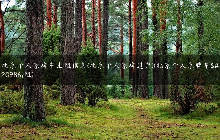 北京个人京牌车出租信息(北京个人京牌过户)(北京个人京牌车出租)