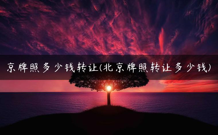 京牌照多少钱转让(北京牌照转让多少钱)