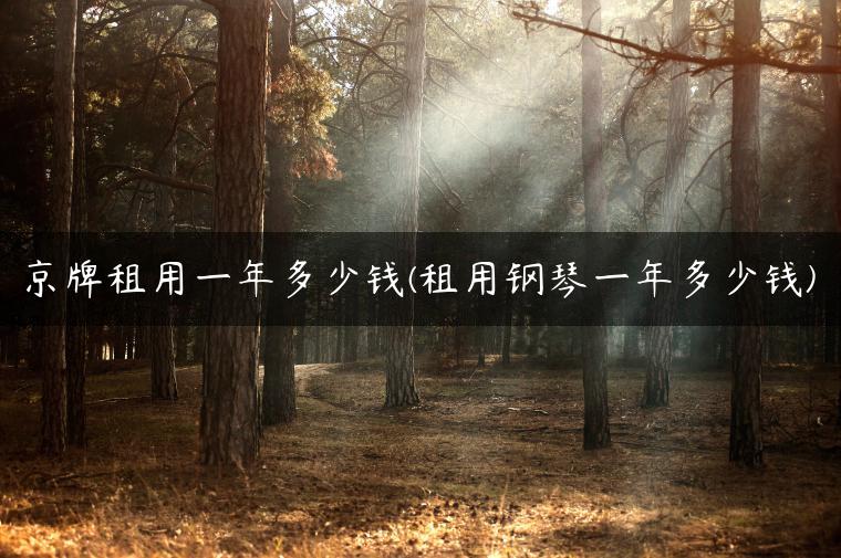京牌租用一年多少钱(租用钢琴一年多少钱)